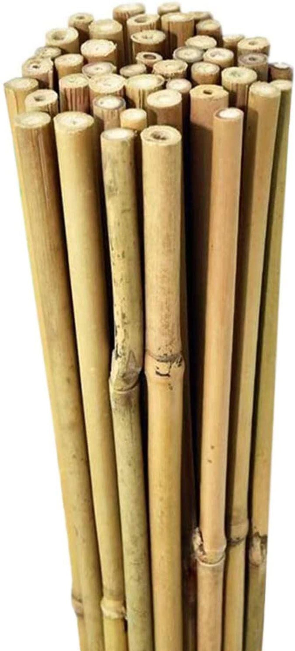 20 x 6FT (180cm) Bamboo Canes