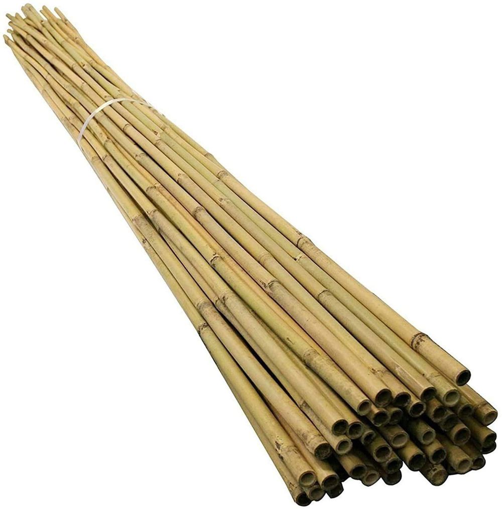 20 x 6FT (180cm) Bamboo Canes