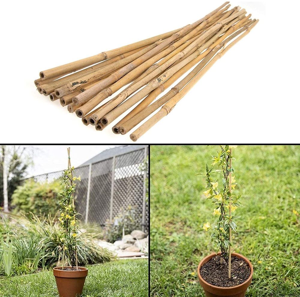 20 x 6FT (180cm) Bamboo Canes